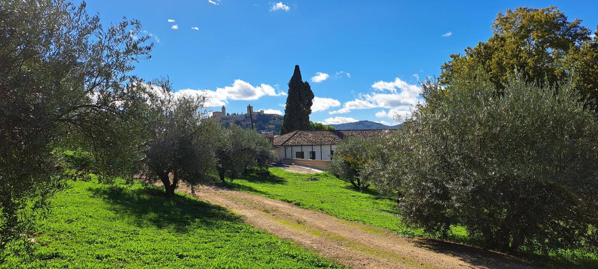 Cauchil Chico Villa Alcala La Real Exterior photo
